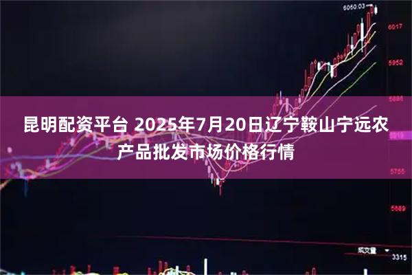 昆明配资平台 2025年7月20日辽宁鞍山宁远农产品批发市场价格行情