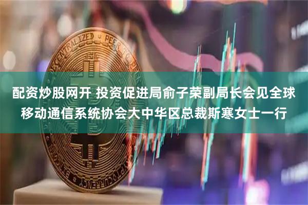 配资炒股网开 投资促进局俞子荣副局长会见全球移动通信系统协会大中华区总裁斯寒女士一行